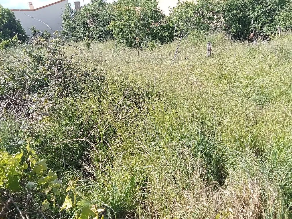 Jardin - Urban Plot for Development in Andavías