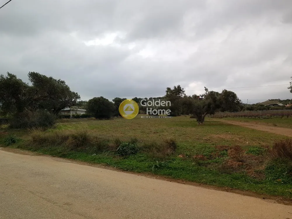 Aed - Plot with Unrestricted View near Keratea