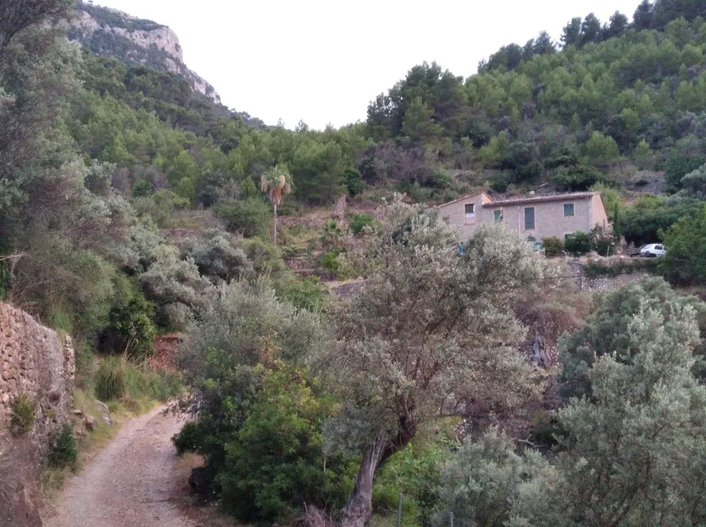 Jardin - Mallorquin House with Fruit Trees in Deyá