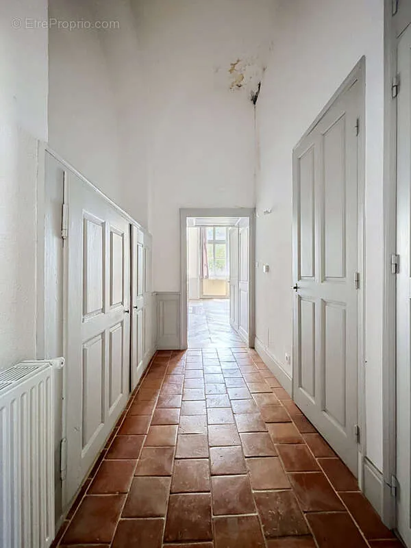 Esik - Spacious T2 with Garden View in Historic Centre