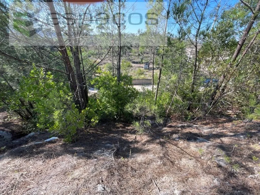 Giardino - Rustic Land with Industrial Potential in Mafra