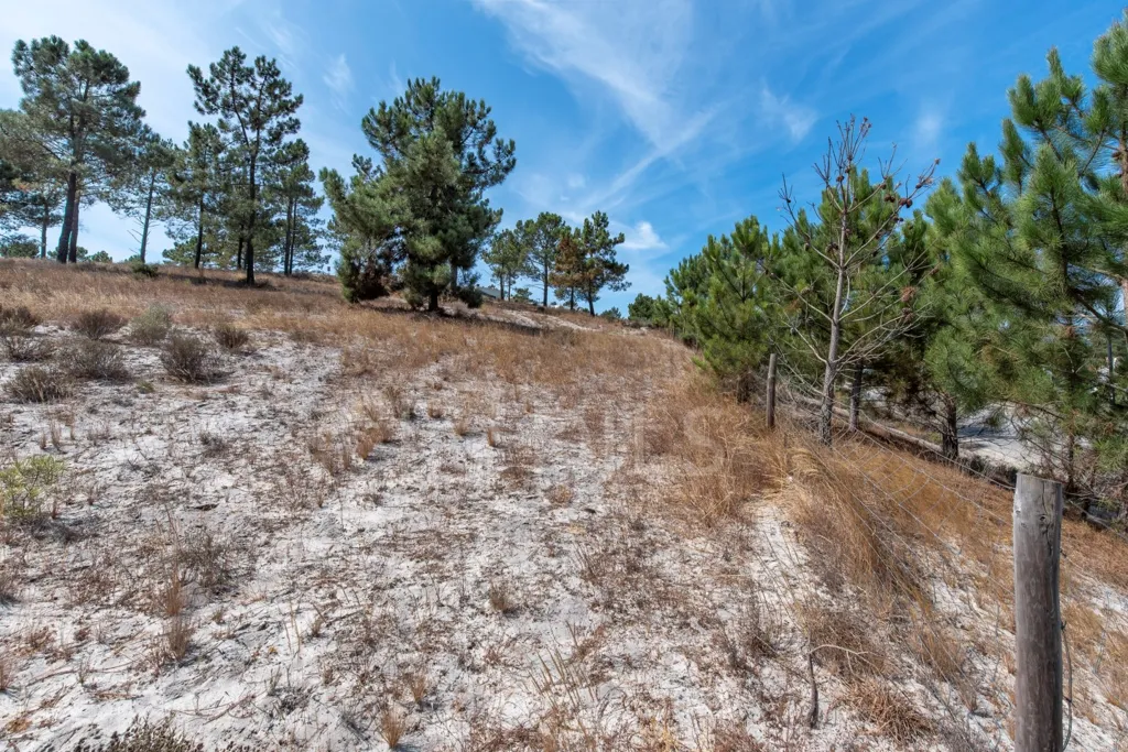 Garden - Plot with Potential for Villa in La Reserve, Carvalhal