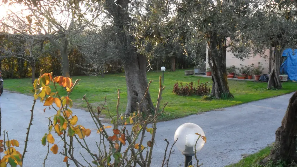 Aed - Villa with Pool in Seravezza