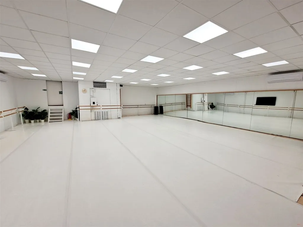 Toad - Bel-étage Maison with Workshop in Uccle