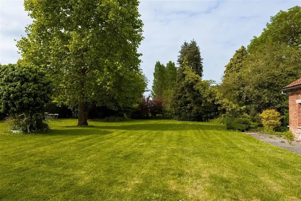 Jardin - Fermette à Renover avec Jardin à Herfelingen