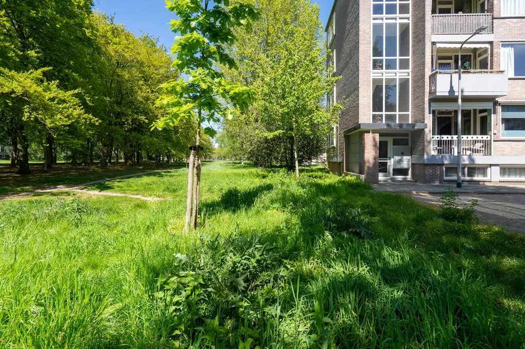3-toaline korter asukohas Tilburg