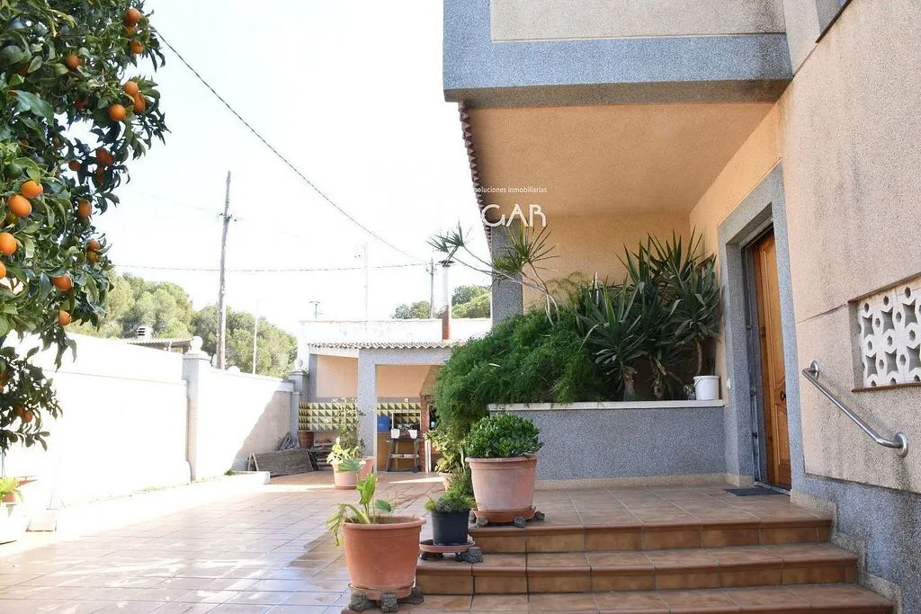 terrace_patio