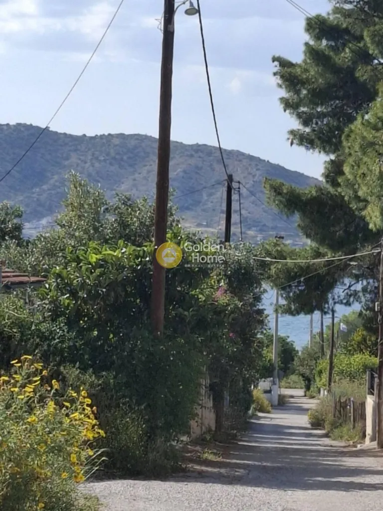 Extérieur - Plot with Sea View in Salamina - Aiantio