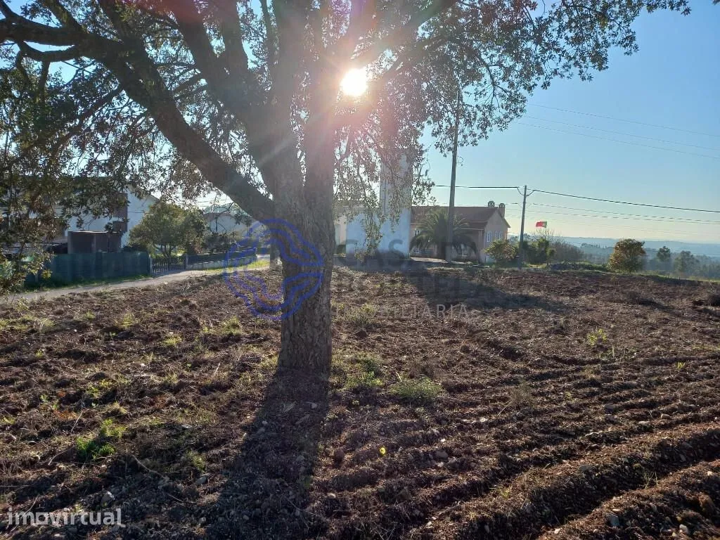 Jardin - Construction Plot for 4 Homes near Tomar