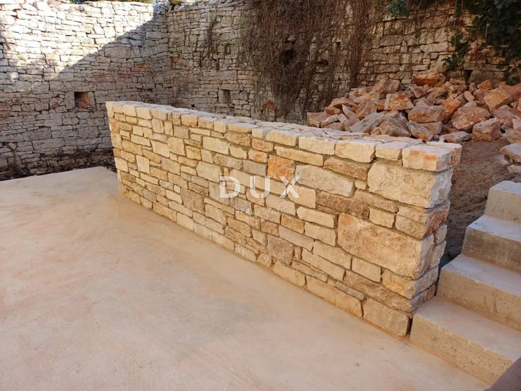 Jardin - Character House with Garden in Tinjan, Istra