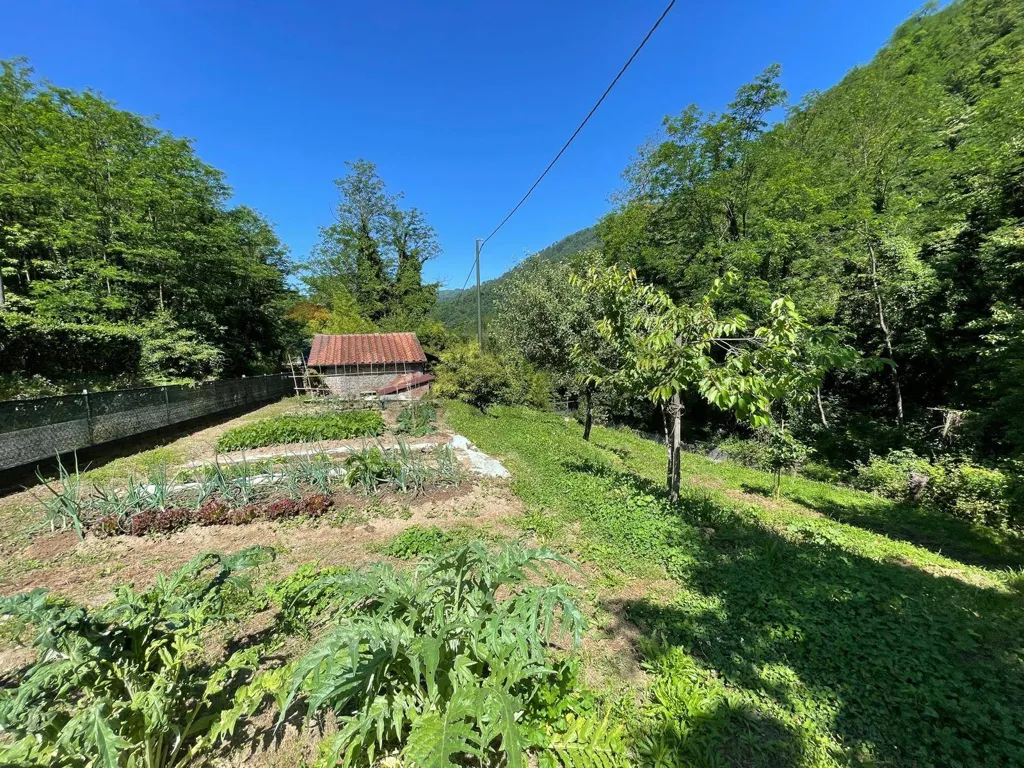 Jardin - Villa with Garden in Bagni di Lucca
