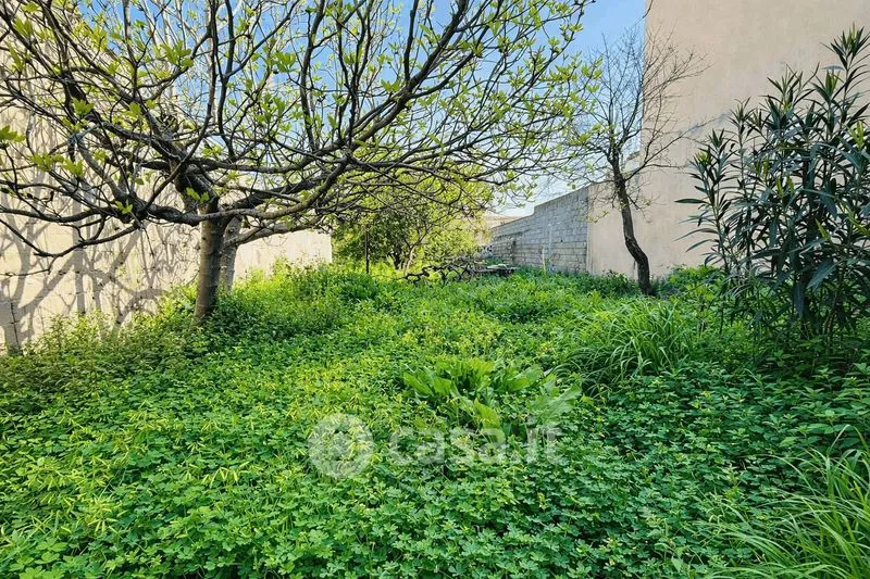 Jardin - Independent House with Two Apartments in Terralba