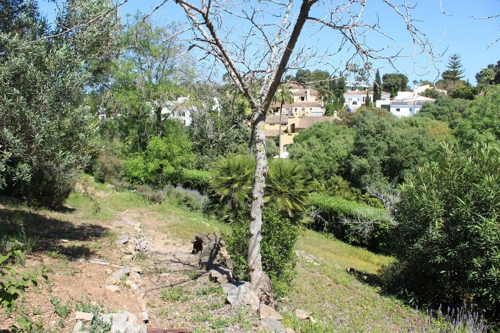 Jardin - Chalet with Pool and Terrace in Sotogrande Costa