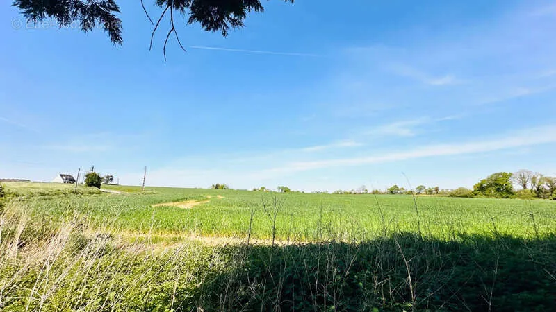 Garden - Rare Farmhouse with 20 Hectares in CAST