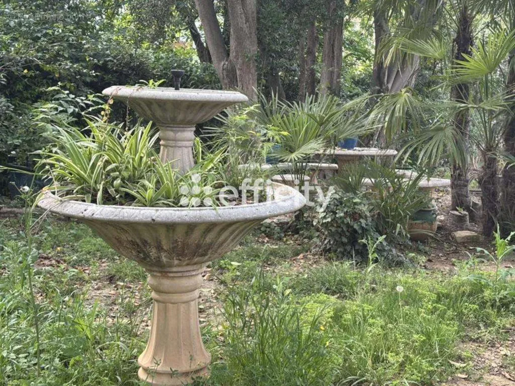Jardin - Maison de Maître avec Piscine à Béziers