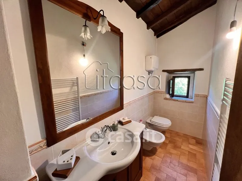 Vannitoad - Rustic Tuscan Casale with Olive Grove in Anghiari
