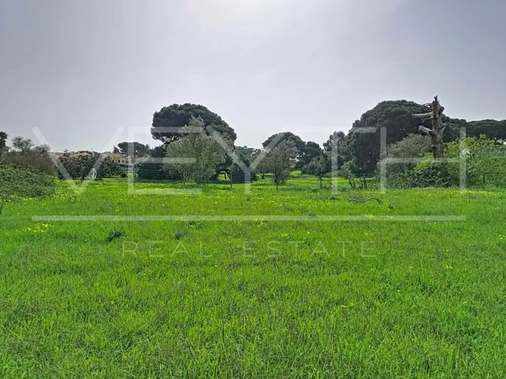Garden - Development Land with Residential Potential in Sesimbra