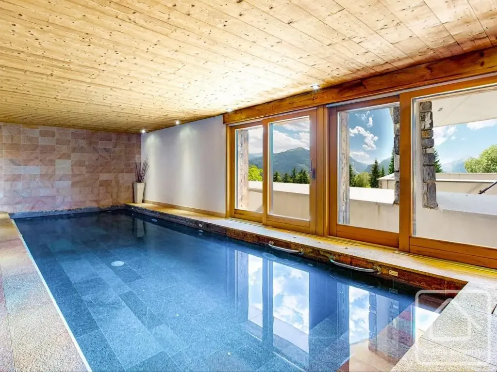 Bassein - Luxury Chalet with Panoramic View in Châtel