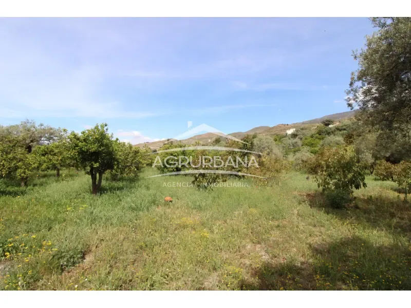 Aed - Rustic Farmhouse with Fruit Trees in Órgiva