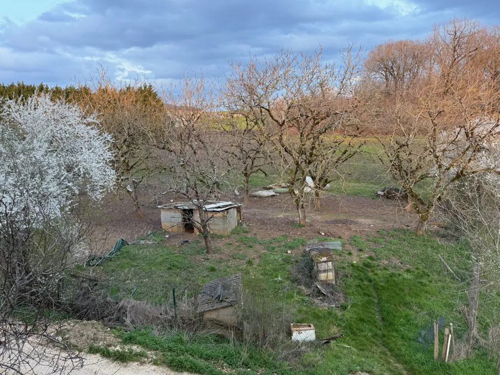 Jardin - Maison en Pierre avec Grand Terrain à Gavaudun