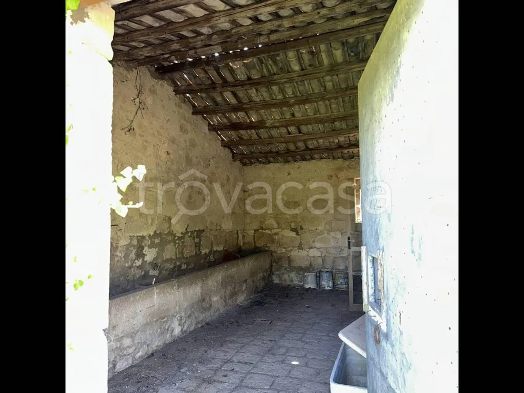 Garden - Historic Masseria with Pool near Ragusa