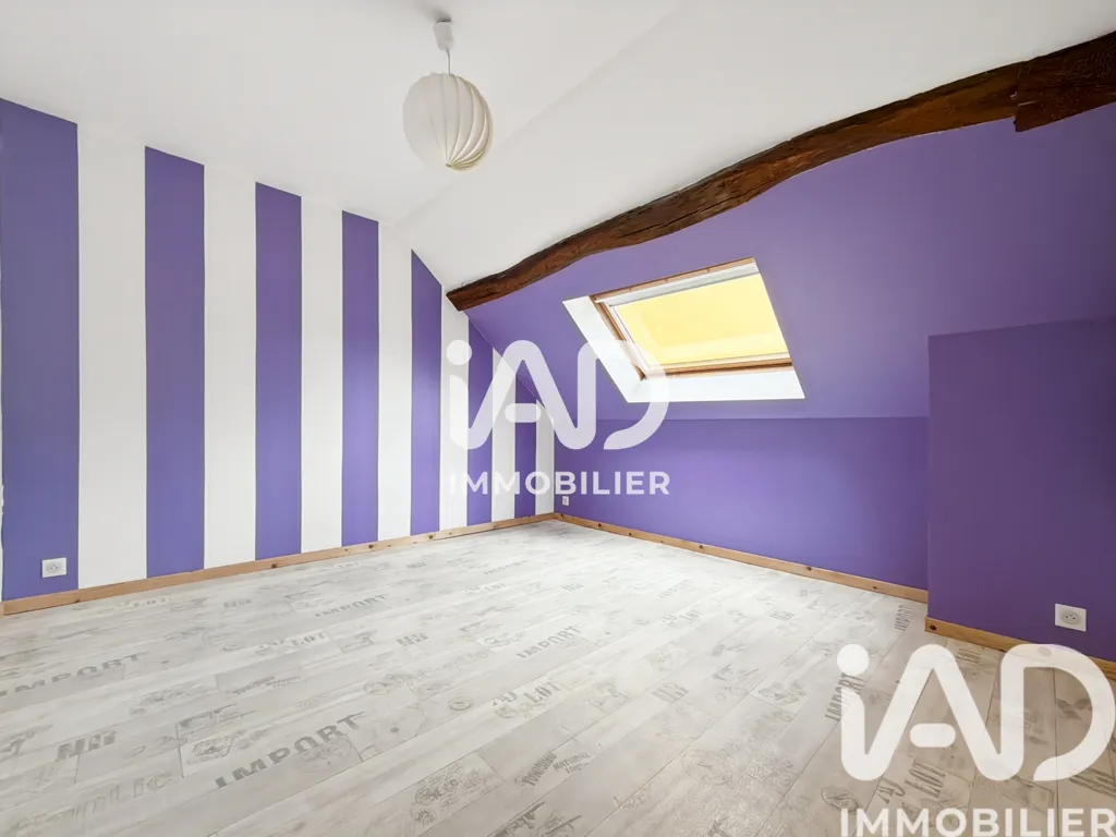 Toad - Charming 5-Bedroom Apartment in Sens