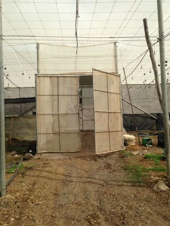 Rooms - Land with Greenhouse in Guía de Isora