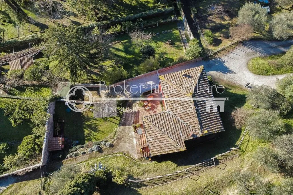 Aerial - Rustic Villa with Olive Grove in Massarosa