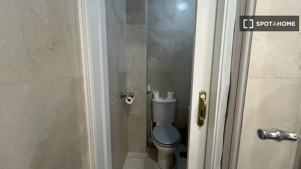Vannitoad - Furnished Studio in Universidad, Madrid