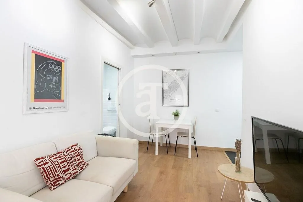 Séjour - Furnished Flat with Catalan Vault in Barcelona