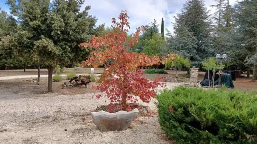 Jardin - Rustic Chalet with Botanical Garden in Andria