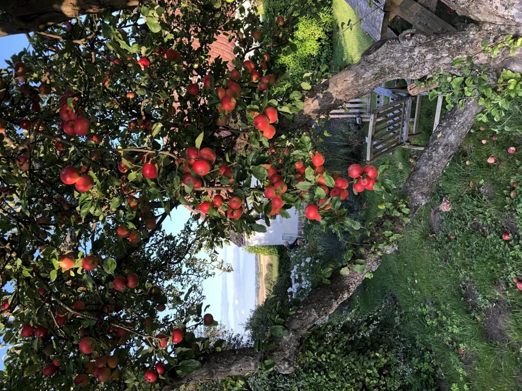 Maison 6 pièces à Knebel