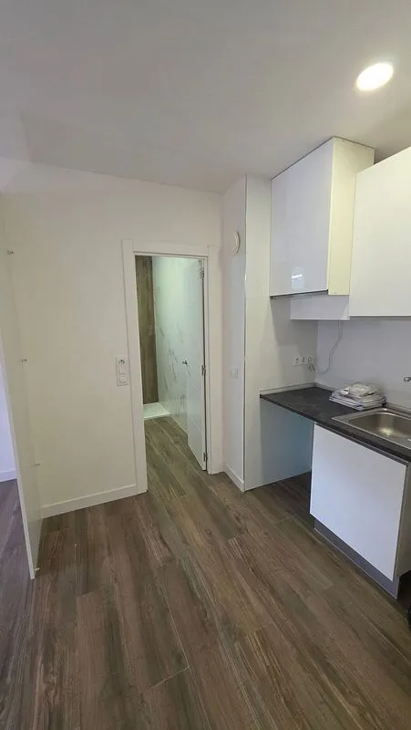 Kitchen - Modernised Flat with Air Conditioning in Parque Roma