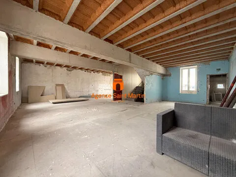 Toad - Two Apartments with Terraces in Le Teil