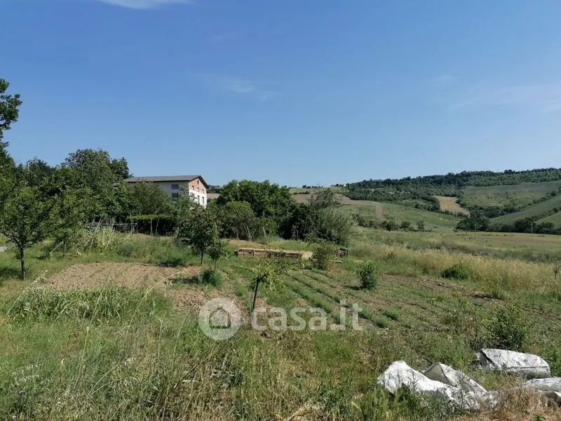 Aed - Rustic Casale with Olive Grove in Polverigi