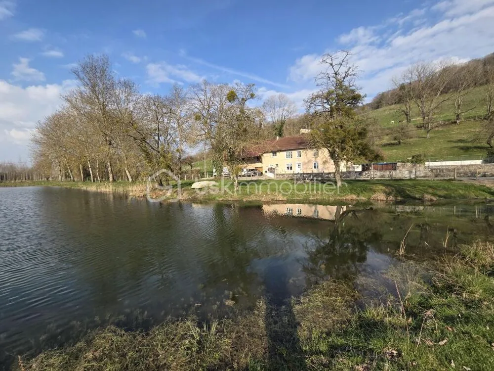 Aed - Château with Pool in Verdant Countryside