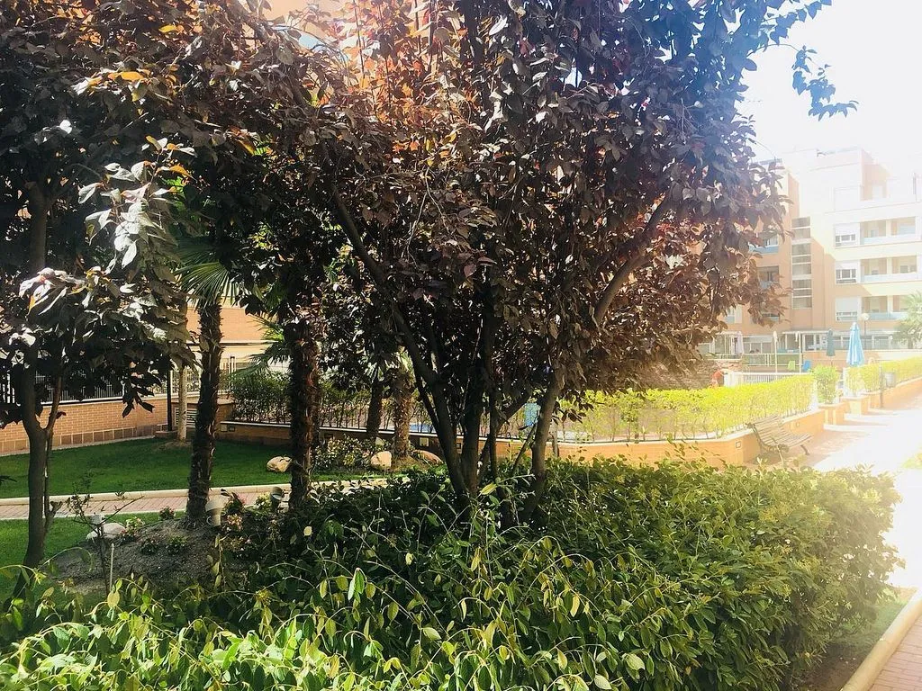 Aed - Apartment with Pool in Arroyo de la Vega