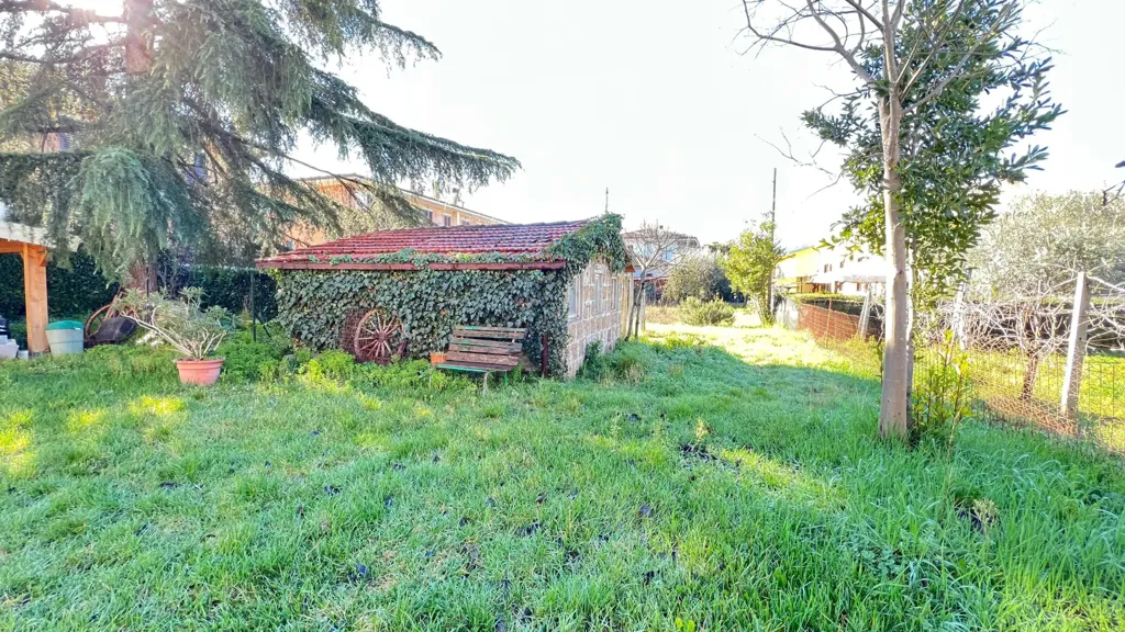 garden