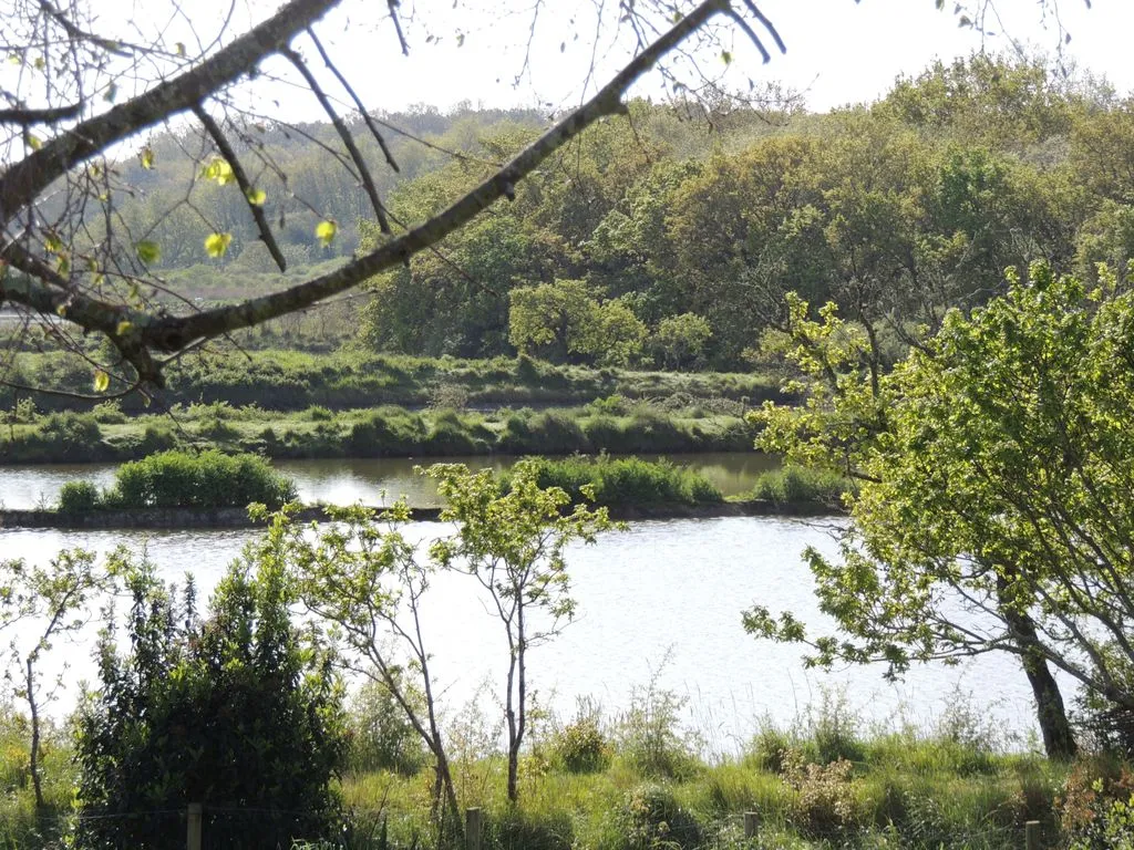 Maison de Luxe avec Vue sur Marais à Mesquer