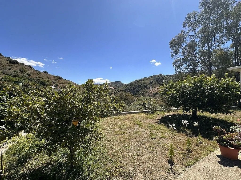 Jardin - Country House with Terrace in Comares