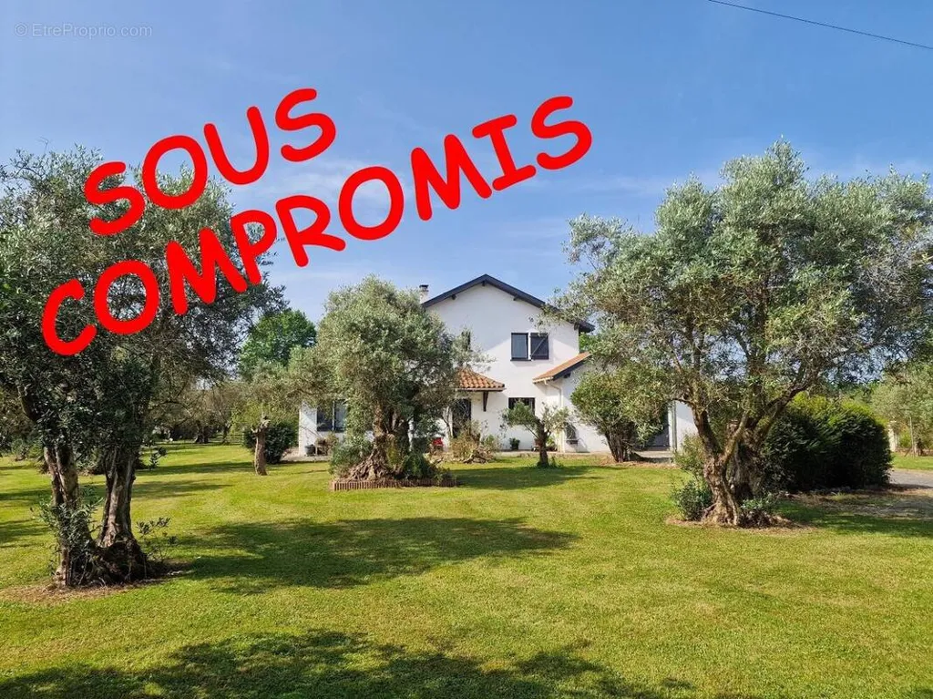 Jardin - Maison Traditionnelle avec Jardin à Ramous