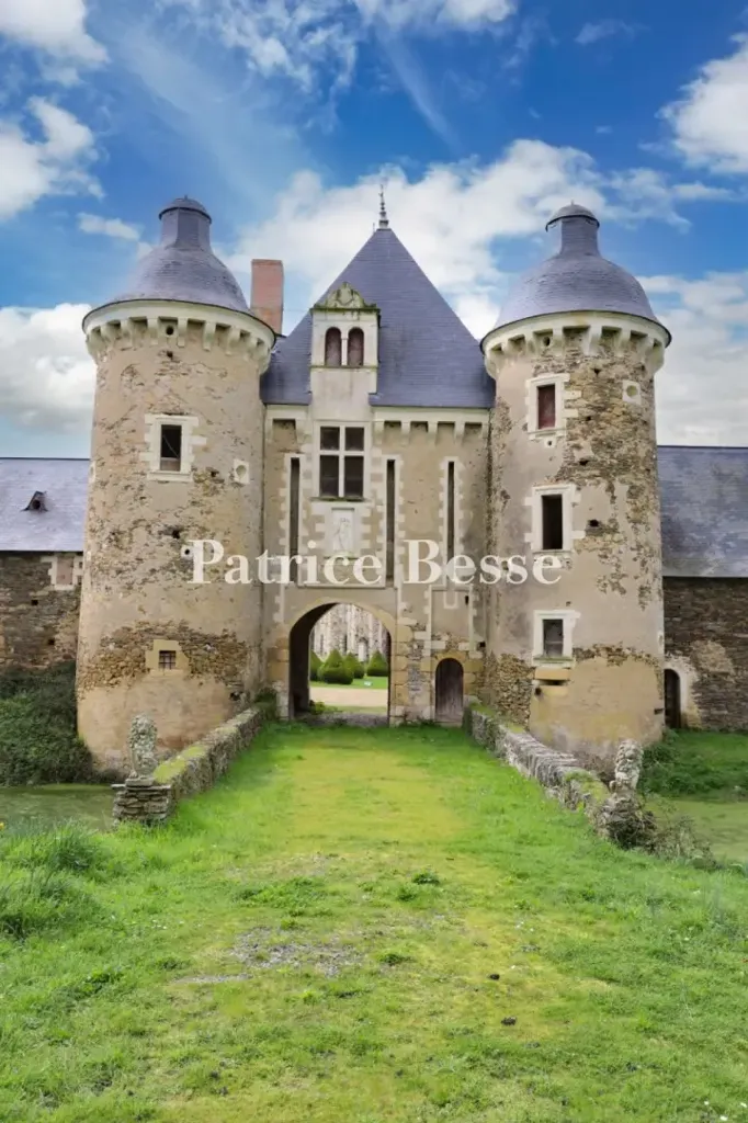 Aed - Historic Château with Chapel in Anjou