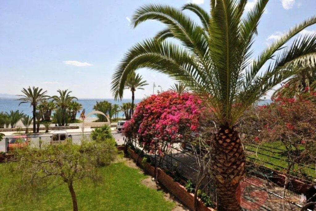 Jardin - Beachfront Hostel in Almuñécar
