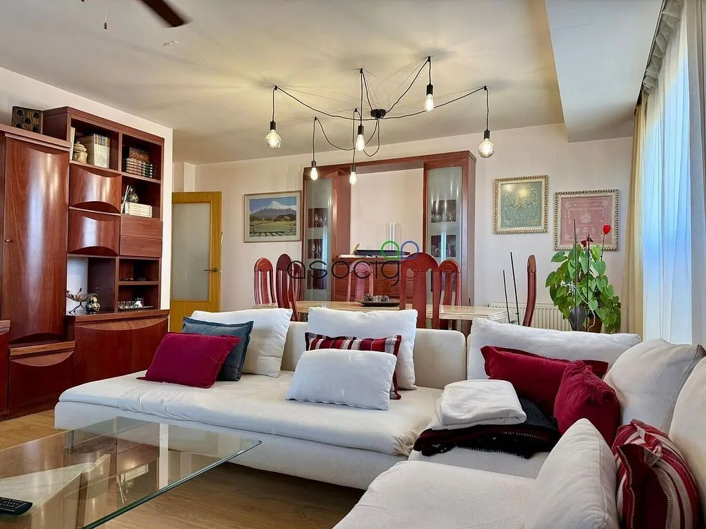 Living Room - Apartment with Garage in Las Cañas