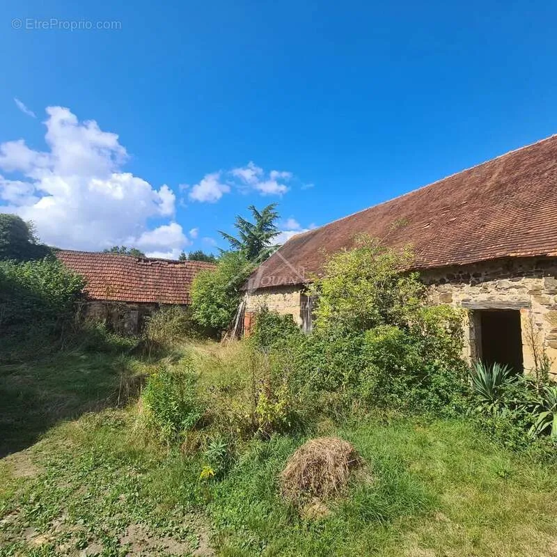 Garden - Rural Property with Panoramic Views in Gipcy