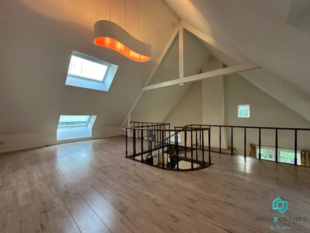 Toad - Villa with Pool in Kraainem