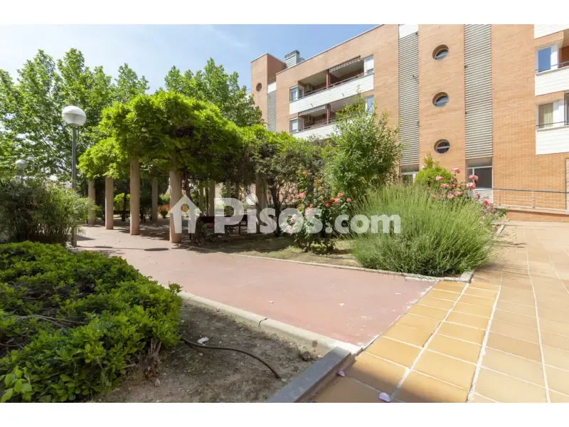 Aed - Furnished Flat with Terrace in Espartales
