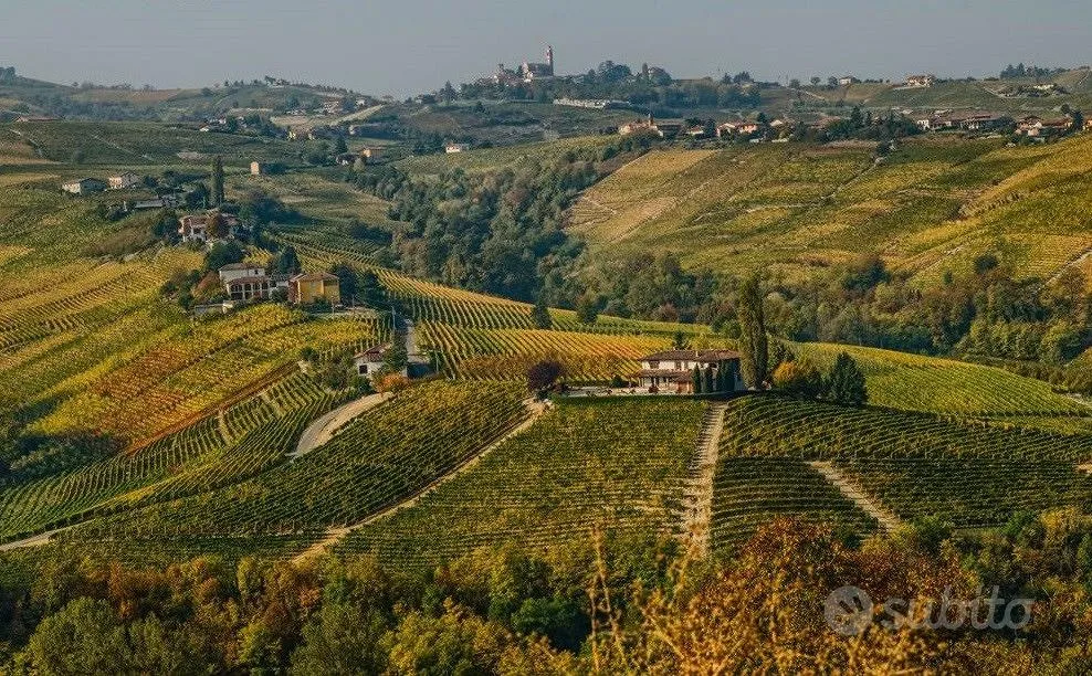 Manor House with Vineyard in Monferrato