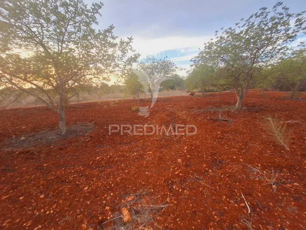 Aed - Rustic Plot near National Road in Vale Judeu