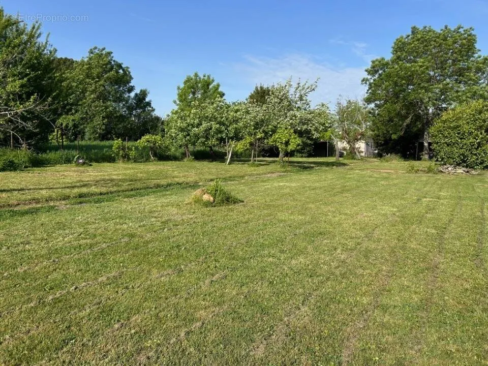 Jardin - Terrain à Bâtir avec Jardin sur les Hauteurs de Lormont